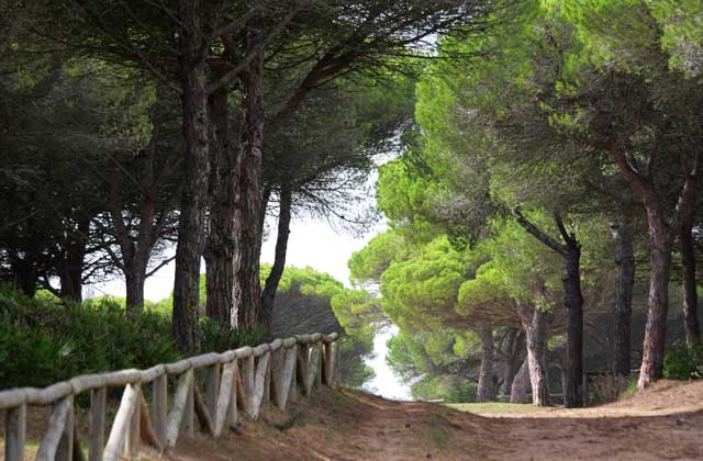 turismo aventura cadiz