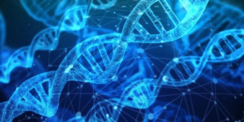La tecnología que permite borrar los recuerdos que no quieras 1 Merca2.es tecnología genética