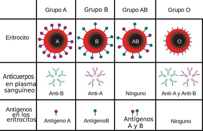 grupos sanguineos cuadro Merca2.es