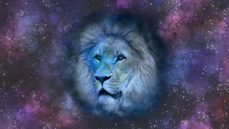 leo Merca2.es