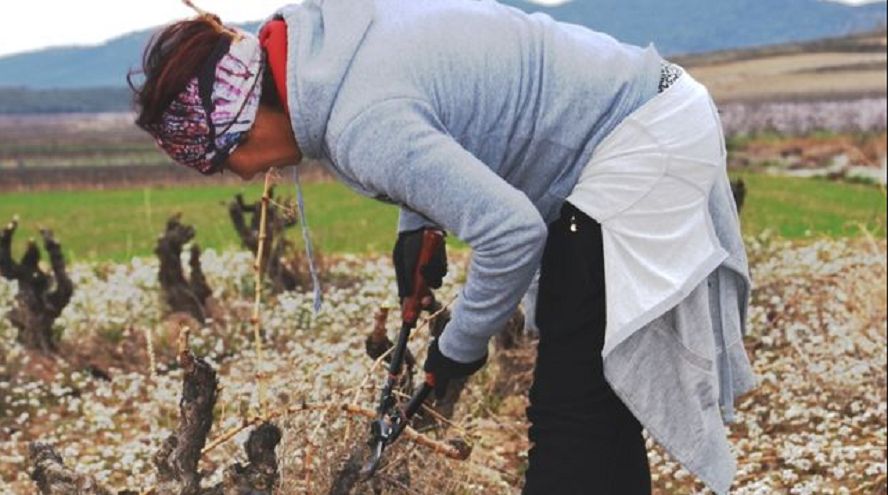 Europa apoya a mujeres emprendedoras en el sector agroalimentario