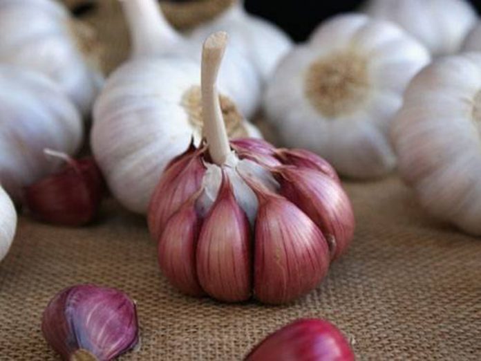 Cuándo y cómo debes tomar ajo en tu dieta para adelgazar varios kilos 1 Merca2.es ajo