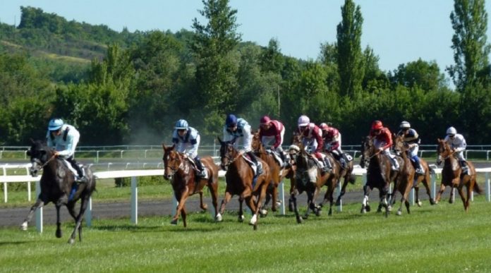 carrera caballos