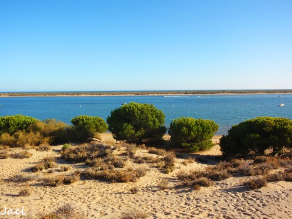 Cartaya