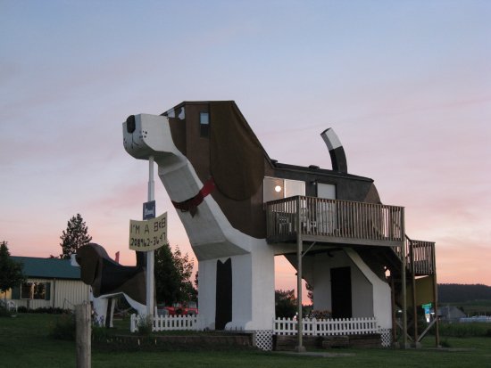 hoteles frikis Dog Bark Park Inn