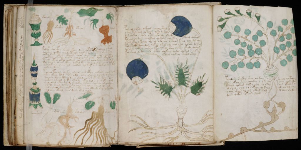 libros raros, manuscrito Voynich