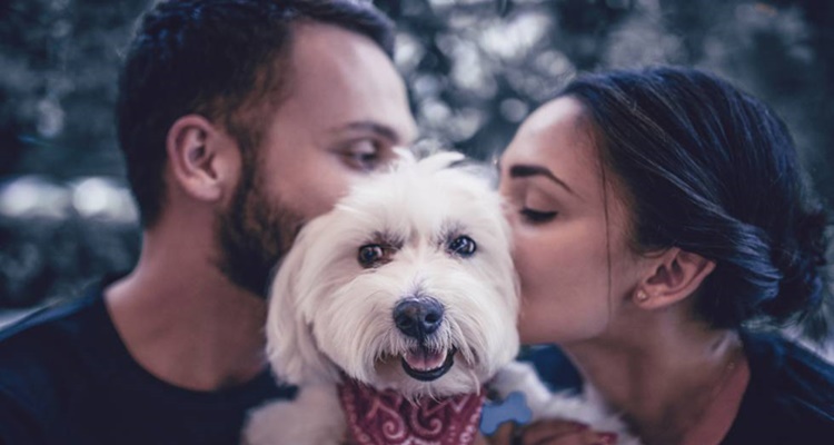 Más mascotas, tendencia familias