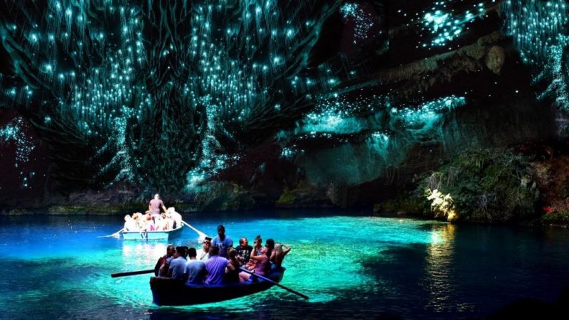 cuevas de waitomo