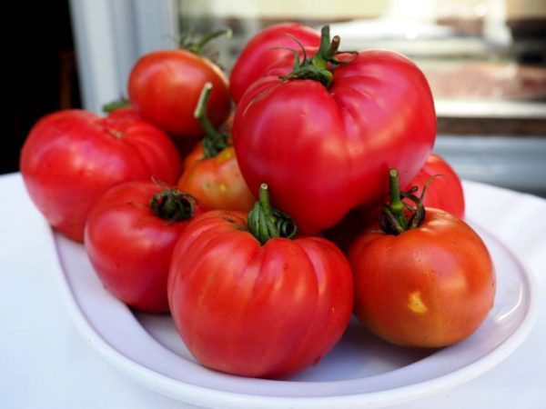tomates salmorejo