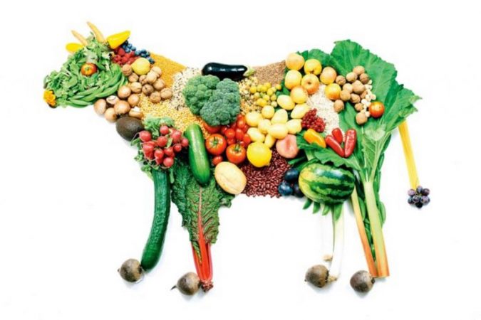 bacterias dejar carne
