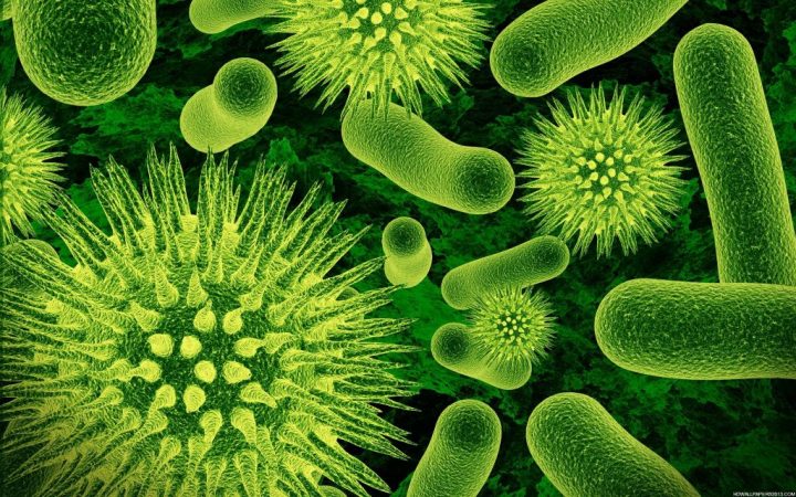 virus coronavirus