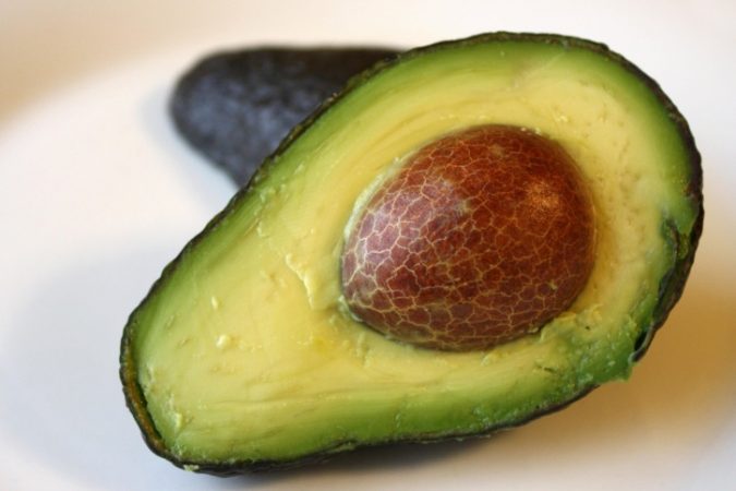 aguacate, metabolismo