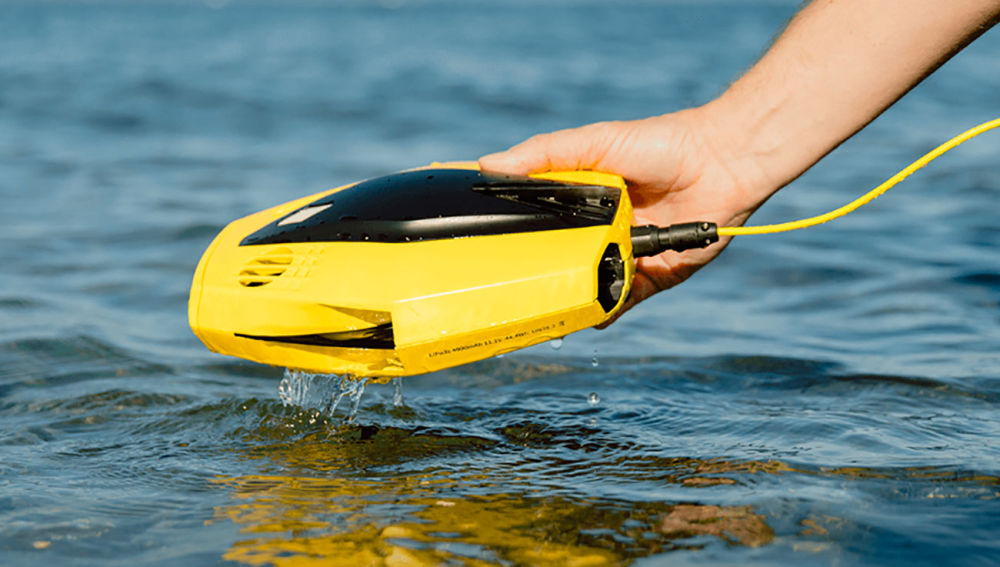 Chasing Dory
