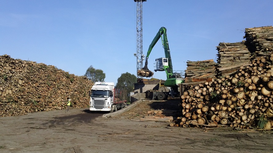 ence-ofensiva-forestal