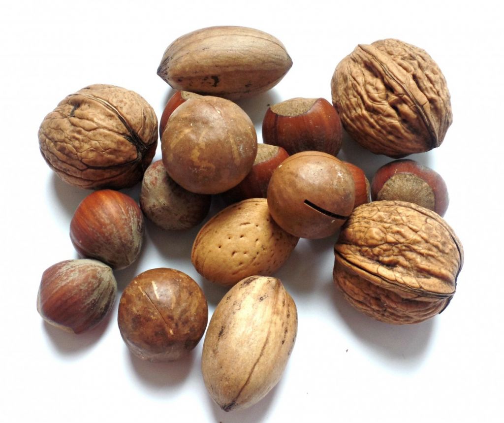 nueces, metabolismo