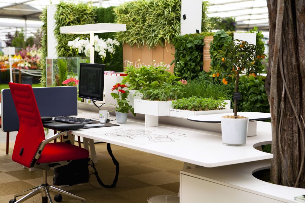 Cómo transformar tu oficina en una eco-oficina y ayudar al medio ambiente