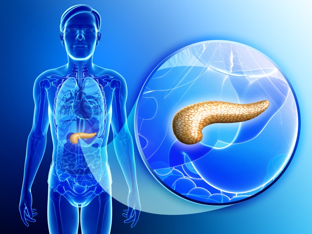 Esto es lo que pasa si tienes demasiado azúcar en tu cuerpo
