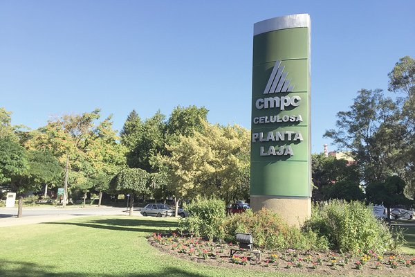La chilena CMPC gana 15,5 M€ en el segundo trimestre