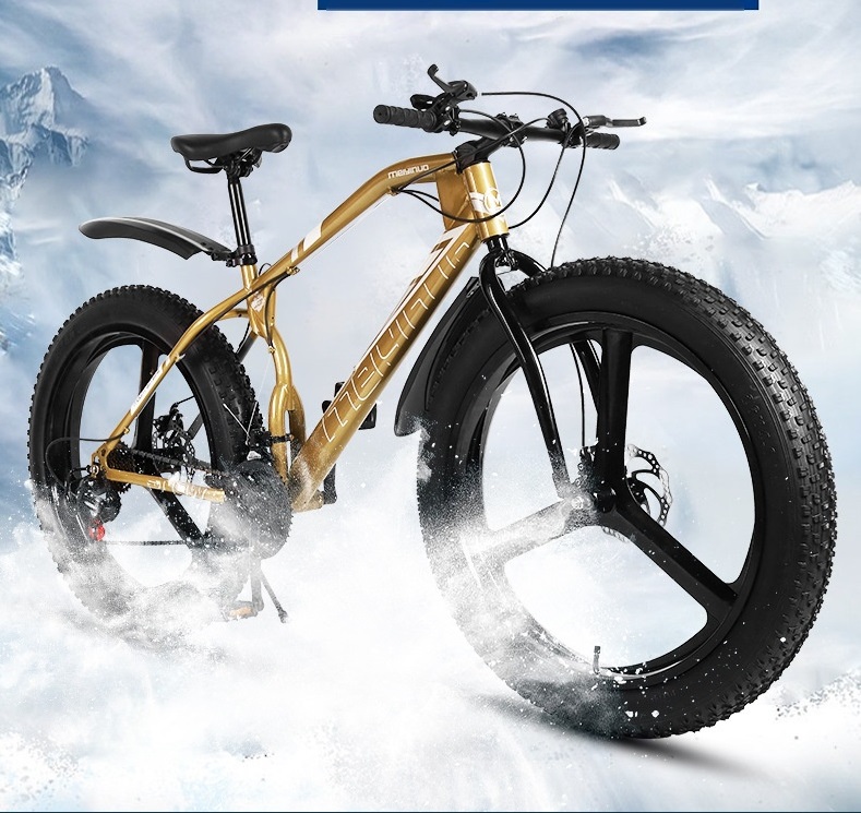 Bicicleta Nieve