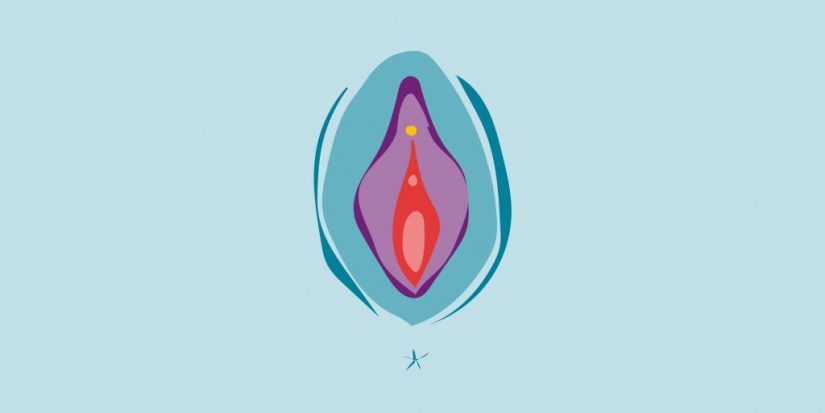 Descubre qué es la prueba del clítoris que ayuda a mejorar tu sexualidad 1 Merca2.es clitoris prueba2 Merca2.es