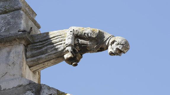 Fotógrafo de Palencia