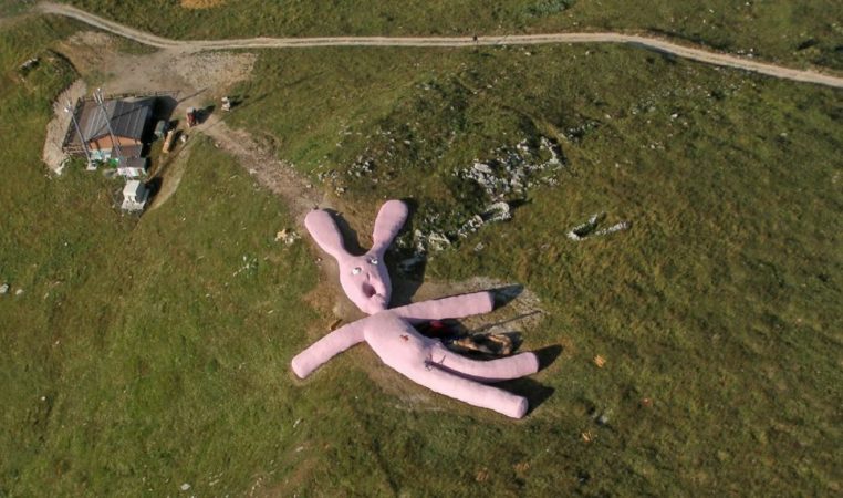El conejo rosa de los Alpes y otros hallazgos inverosímiles que hay en el mundo 46 Merca2.es hallazgos inesperados