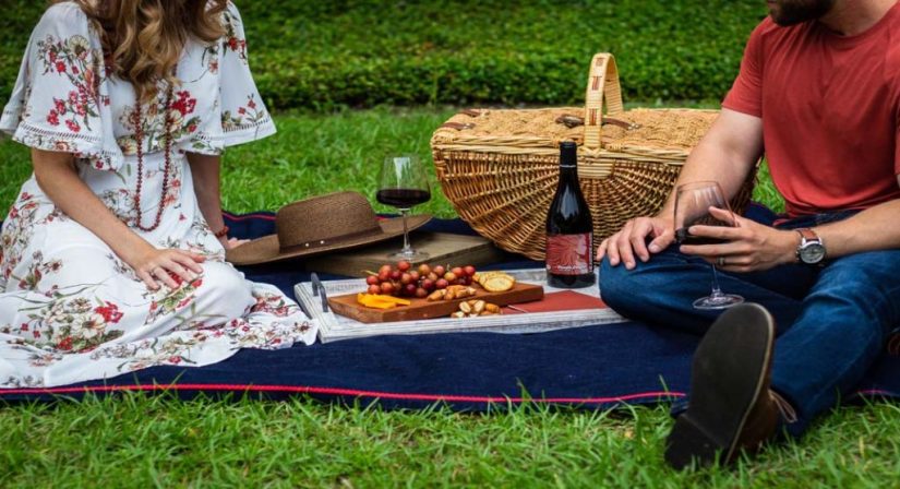 look-picnic
