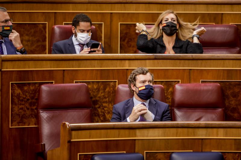 El Congreso debate este martes las propuestas de Vox para un nuevo Plan Industrial