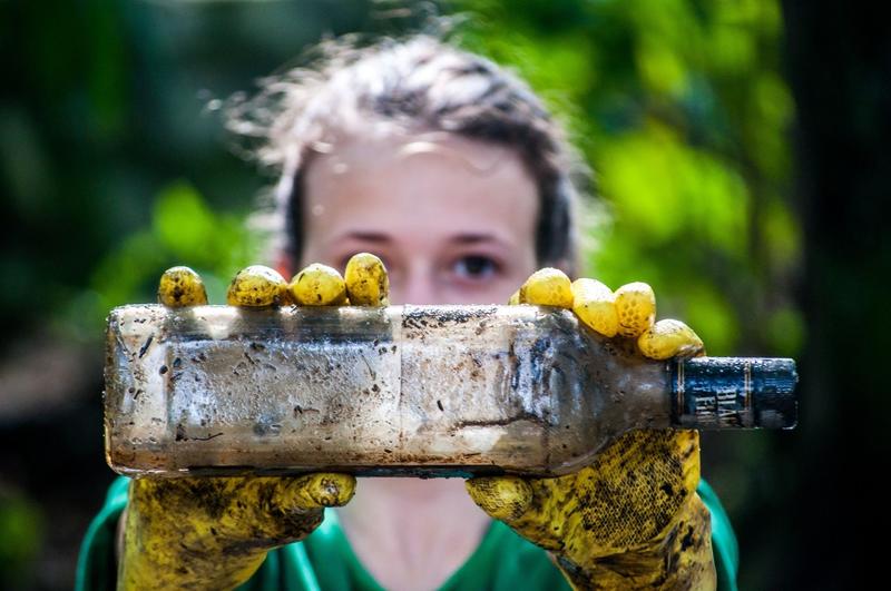 Cerca de 4.000 empleados de Iberdrola realizan más de 60 iniciativas solidarias