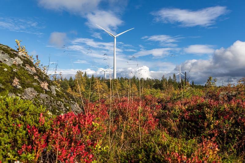 Siemens Gamesa suministrará 11 aerogeneradores para tres parques eólicos de Suecia
