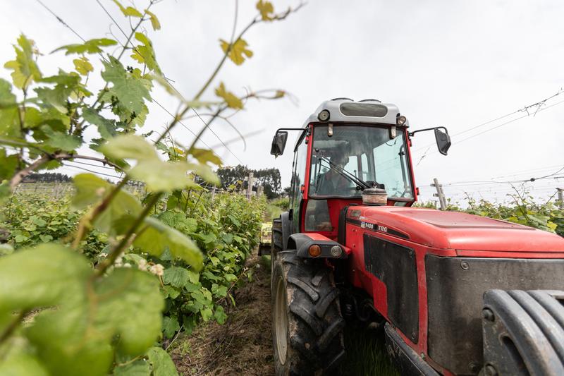 La tasa de morosidad en los sectores agroalimentario y pesquero desciende en 2019