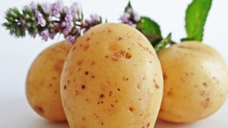 El potasio: Conoce el por qué debes comer patata