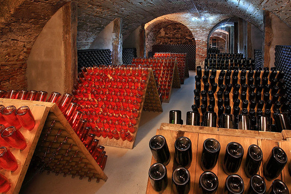 bodega de vino