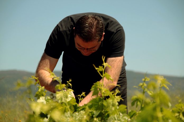 El vino español no encuentra su sitio frente a la subida de Italia y Francia