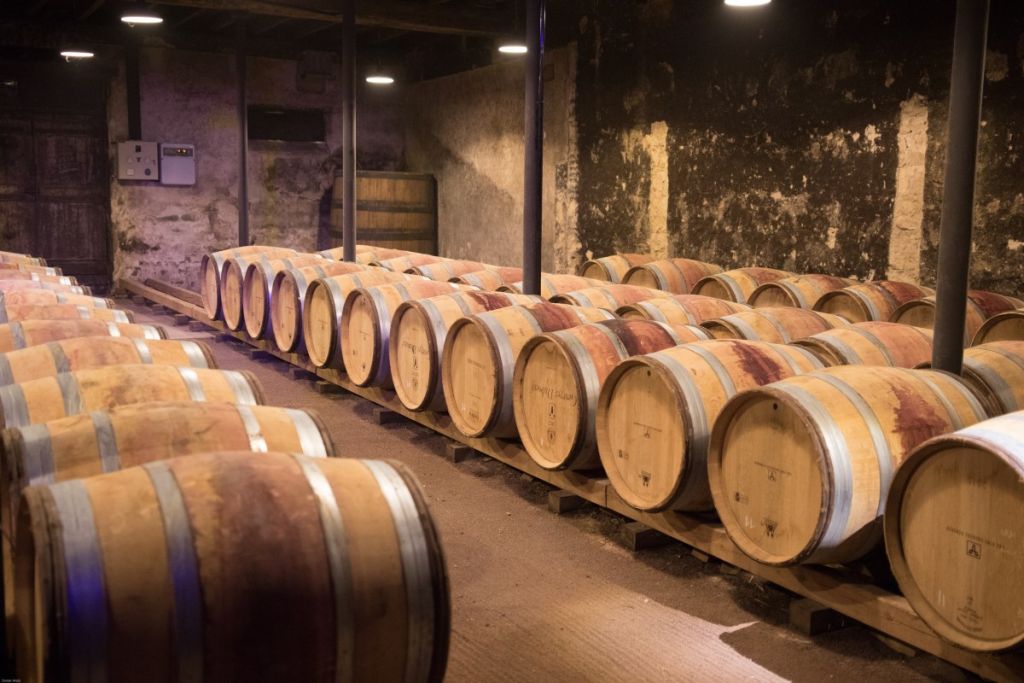 Bodegas de Madrid ideales para hacer una ruta de enoturismo
