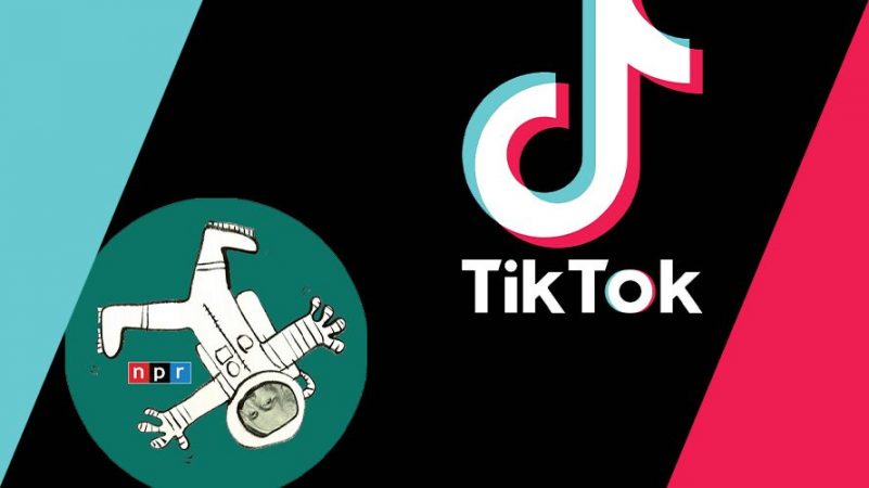 canales de economia tiktok