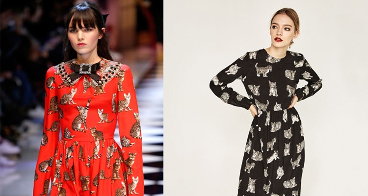 Zara vestido gatos Dolce&Gabbana