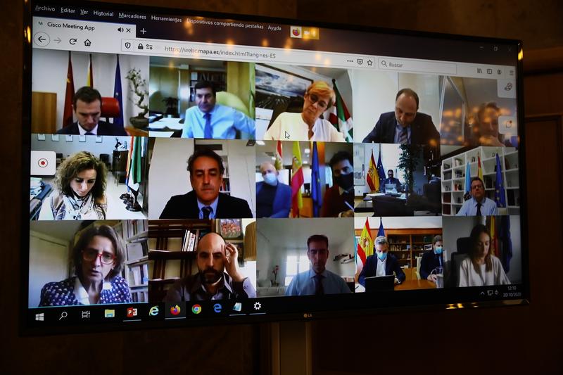 Ribera pide a las CCAA identificar proyectos en energía para hacer viable ejecución de los fondos europeos