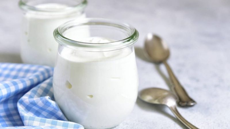 Yogur yogures OCU