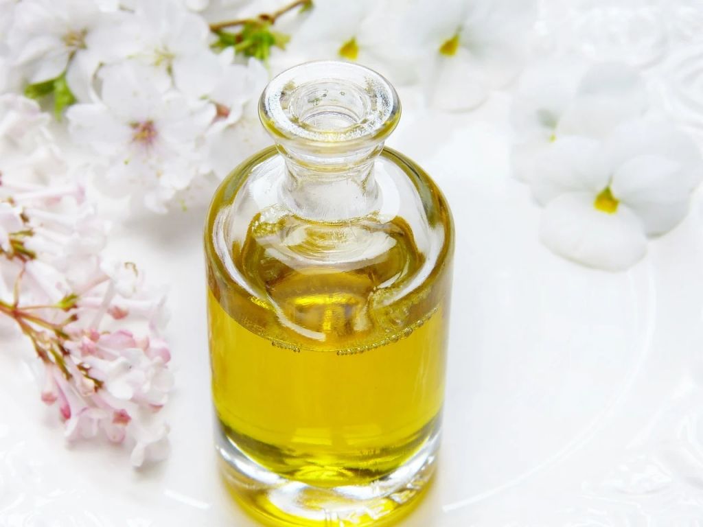 ¿Cuál es el mejor aceite de marca blanca? comparamos los mejores