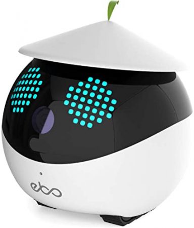 ebo-384x450.jpg