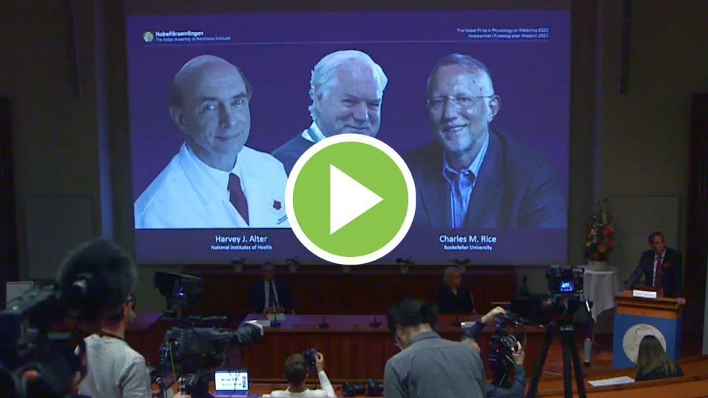 Premio Nobel de medicina a los descubridores de la hepatitis C