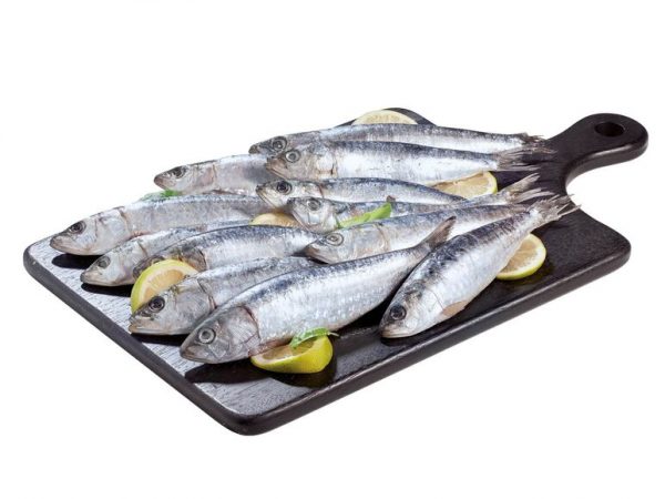 sardinas lidl nuevos productos
