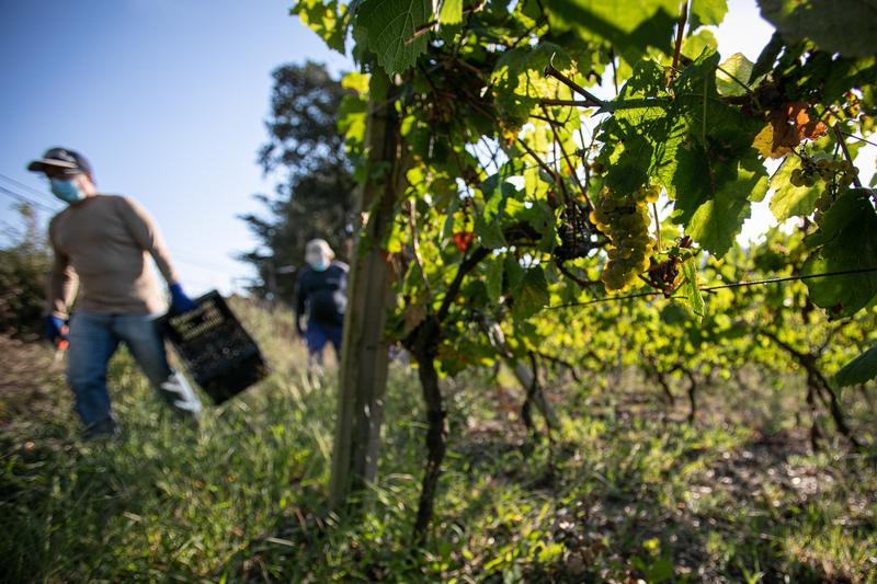 Unión de Uniones califica el anteproyecto de ley de la cadena alimentaria de «manifiestamente mejorable»