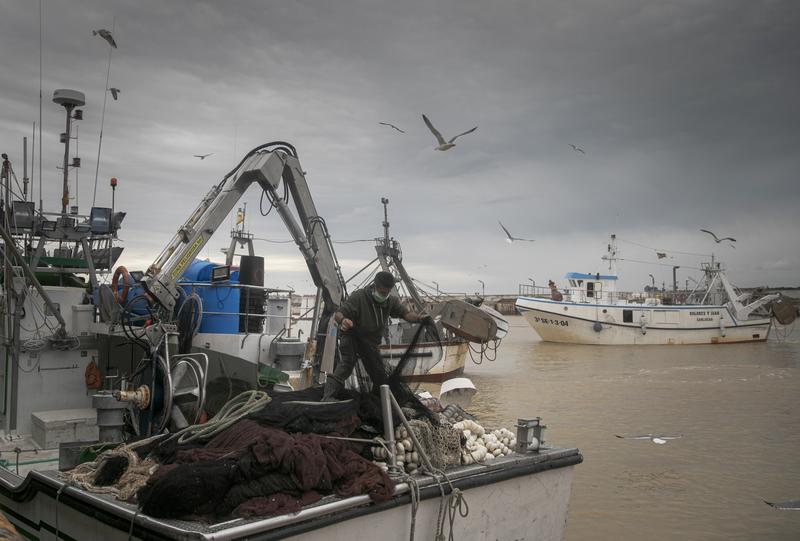 Secretaría General de Pesca defiende una aplicación progresiva del plan plurianual en Mediterráneo occidental