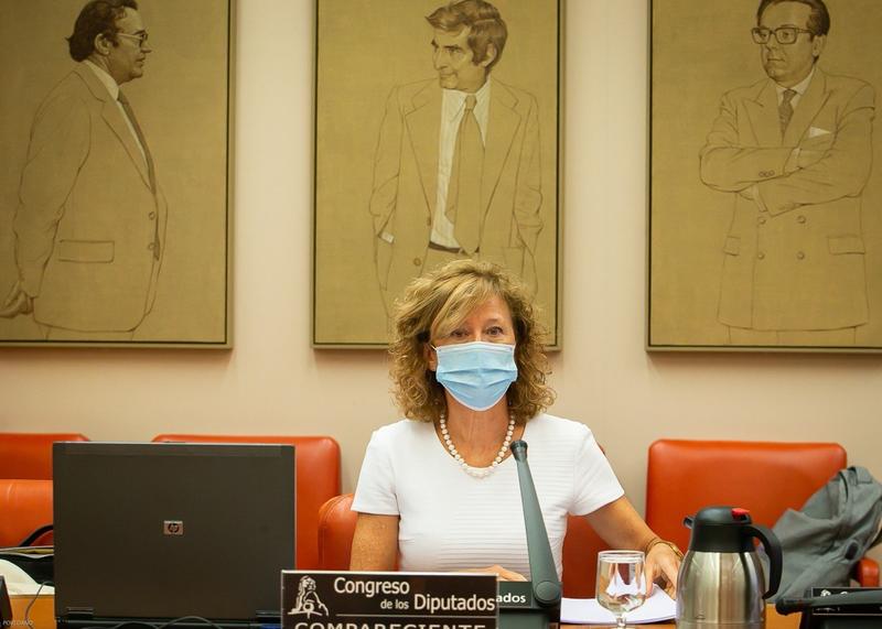 Delgado (BdE) entiende las críticas al veto al dividendo, pero ve preferible «pecar de cauteloso»