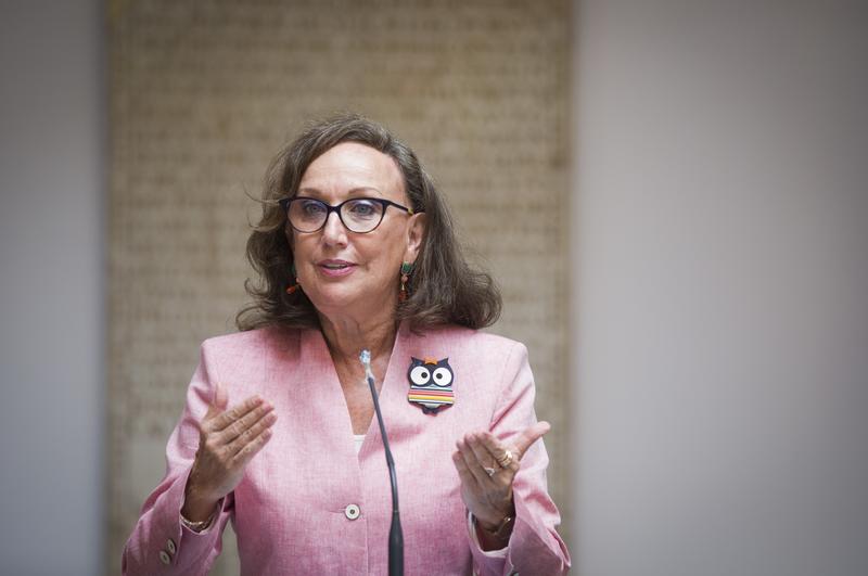 Los ministros exteriores iberoamericanos reclaman financiación urgente frente a la Covid-19