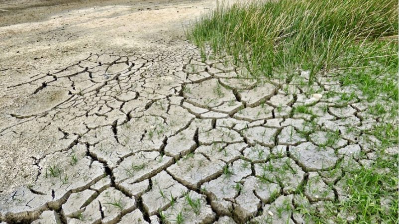 Cambio-Climatico-Naturgy
