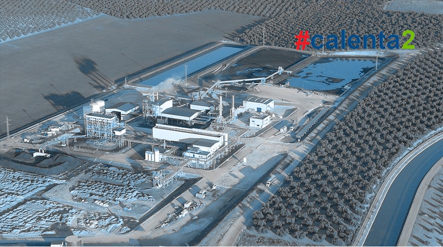 La apuesta de Sacyr por la biomasa del olivar andaluz: diseño y gestión industrial