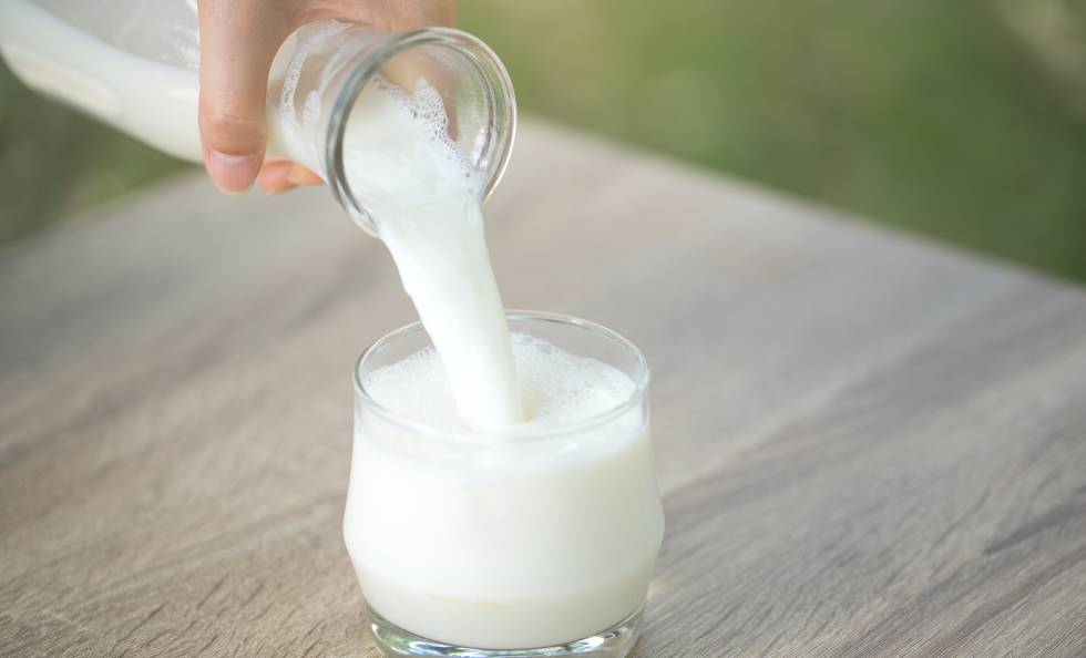 Lo que no te han contado de la leche: motivos para no tomarla nunca